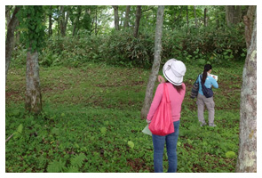 ネイチャーカウンセリング